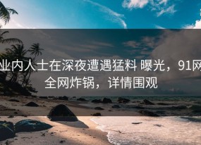 业内人士在深夜遭遇猛料 曝光，91网全网炸锅，详情围观